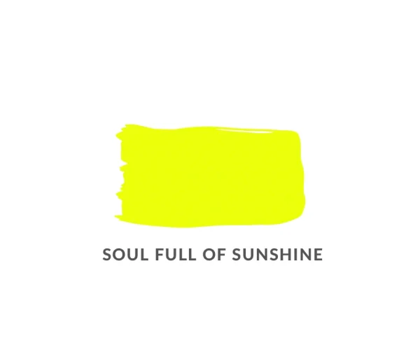 Neons By Anissa Soul Full of Sunshine