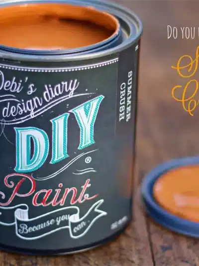 Debi's Design Diary DIY Paint Summer Crush DIY Paint