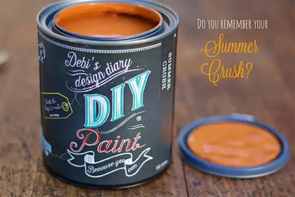 Debi's Design Diary DIY Paint Summer Crush DIY Paint